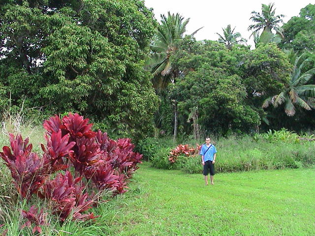 dsc00138.jpg