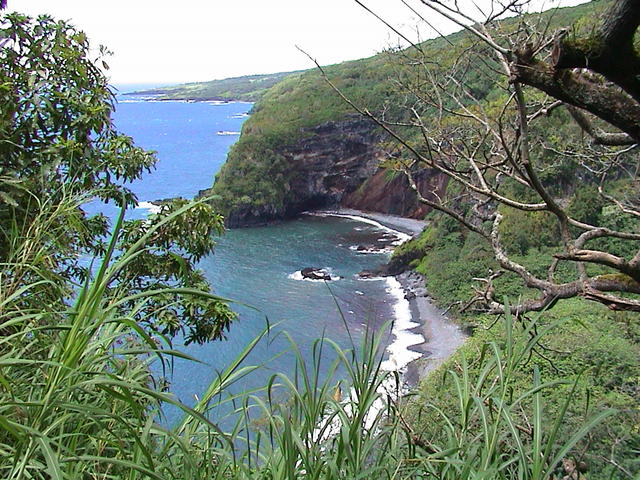 dsc00139.jpg