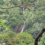 dsc00140.jpg