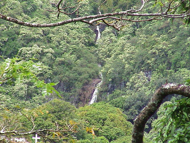 dsc00140.jpg