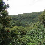 dsc00142.jpg