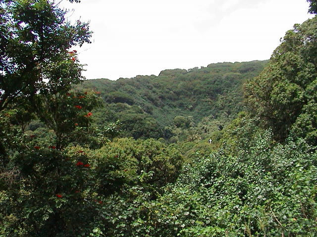 dsc00142.jpg