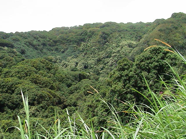 dsc00143.jpg