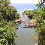 dsc00144.jpg