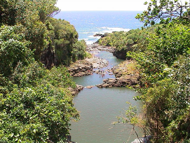 dsc00144.jpg