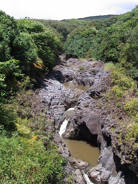 dsc00145.jpg