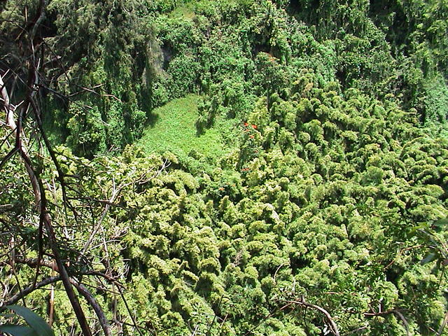 dsc00146.jpg