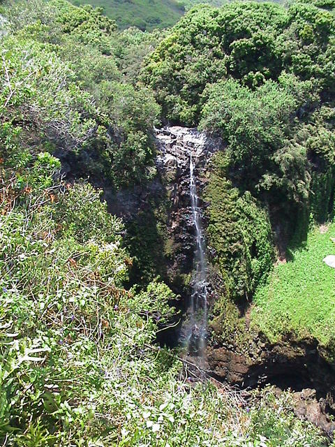 dsc00147.jpg