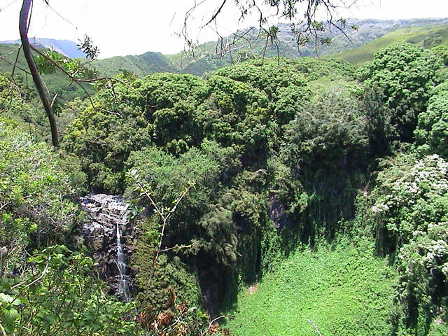 dsc00148.jpg
