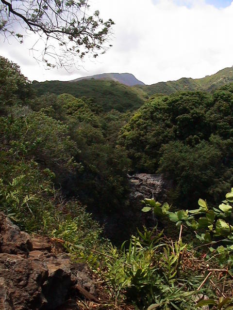 dsc00149.jpg