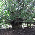 dsc00153.jpg