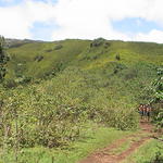 dsc00154.jpg