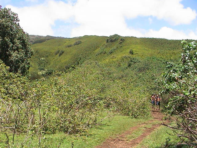 dsc00154.jpg