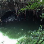 dsc00155.jpg