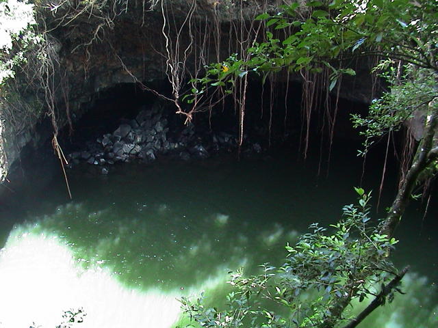 dsc00155.jpg