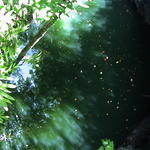 dsc00156.jpg