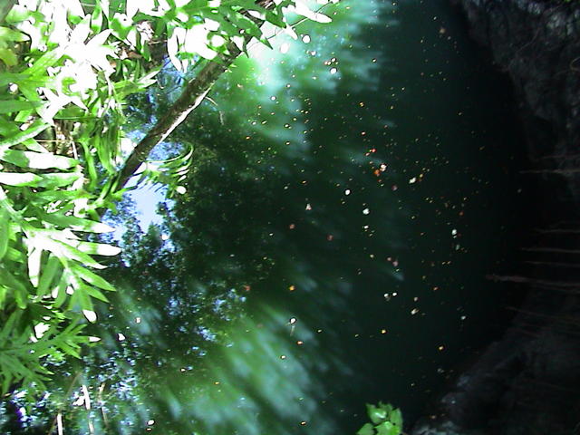dsc00156.jpg