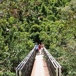 dsc00159.jpg