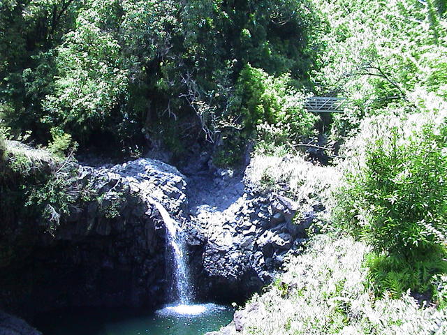 dsc00160.jpg