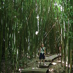 dsc00166.jpg