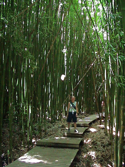 dsc00166.jpg