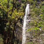dsc00167.jpg