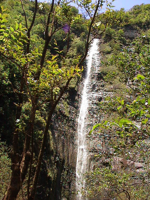dsc00167.jpg