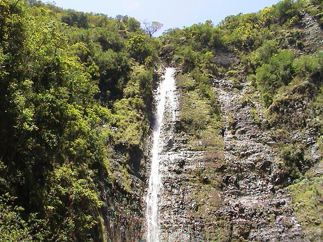 dsc00168.jpg