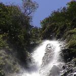 dsc00169-270.jpg