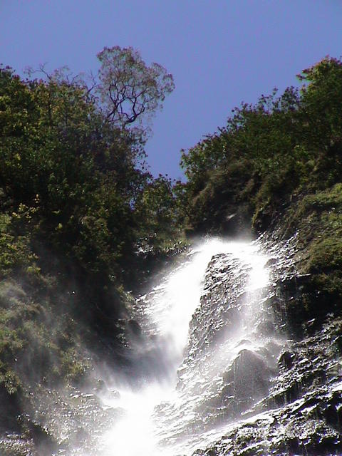 dsc00169.jpg