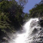 dsc00171.jpg
