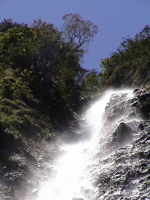 dsc00171.jpg