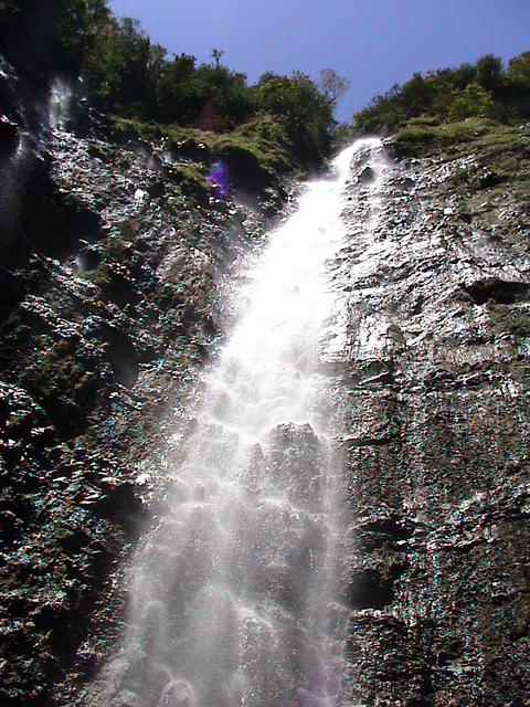 dsc00172.jpg
