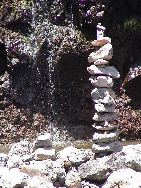 dsc00173.jpg
