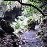 dsc00174.jpg