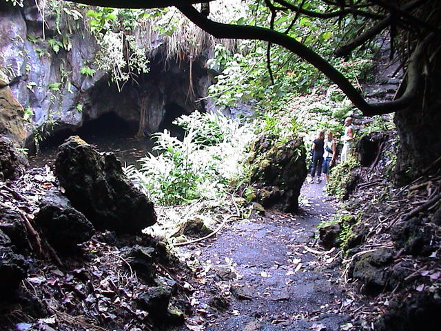 dsc00174.jpg