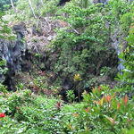 dsc00175.jpg