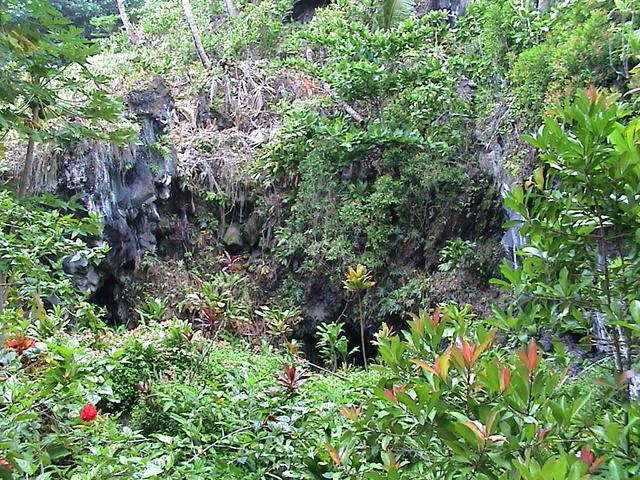 dsc00175.jpg