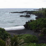 dsc00177.jpg
