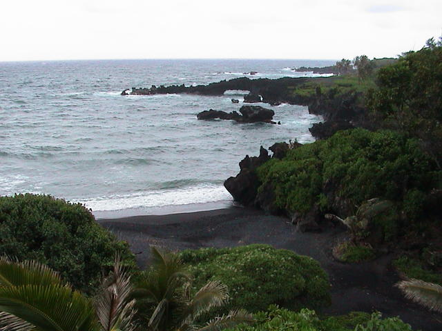 dsc00177.jpg