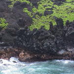 dsc00178.jpg