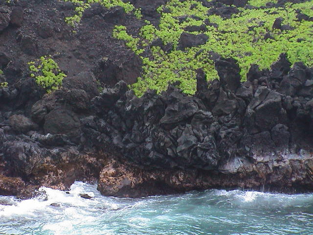 dsc00178.jpg
