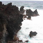 dsc00179.jpg