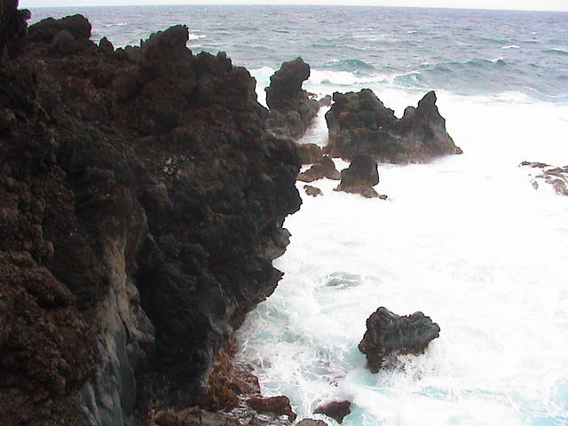 dsc00179.jpg