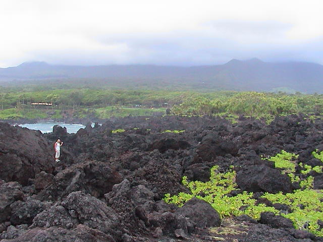 dsc00180.jpg