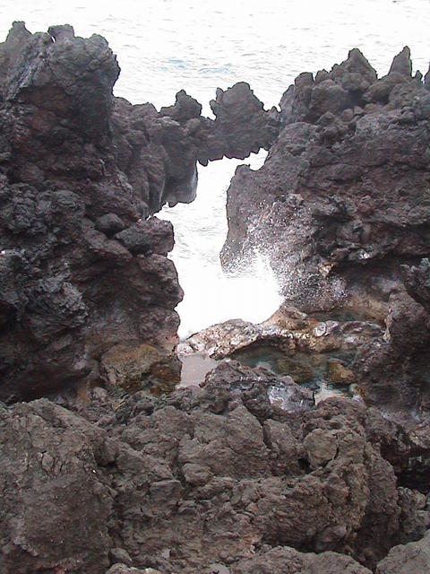 dsc00181.jpg