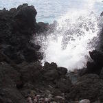 dsc00182.jpg