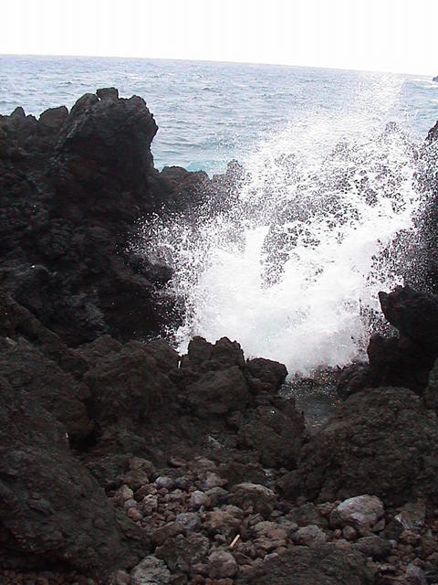 dsc00182.jpg