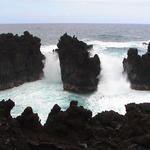 dsc00184.jpg