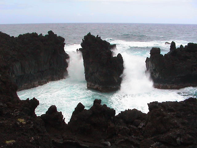 dsc00184.jpg
